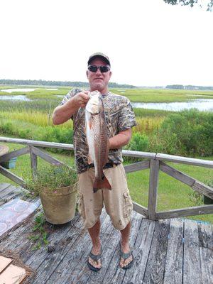 Wild Life Bait & Tackle