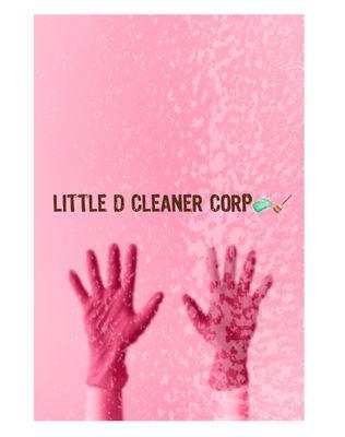 Little Cleaning