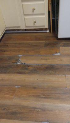 Carrell Rogers Carpet One Floor & Home