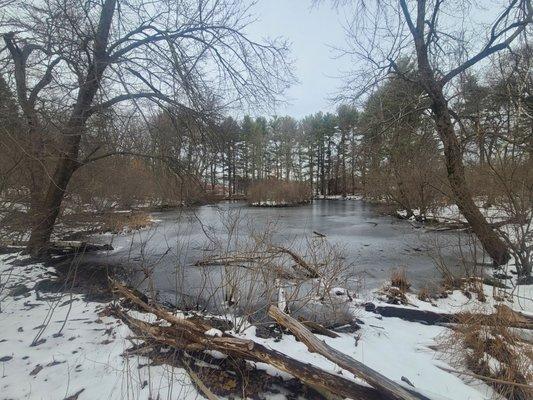 Mass Audubon's Habitat Education Center & Wildlife Sanctuary