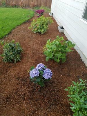 Nature By Design Landscaping,Inc.