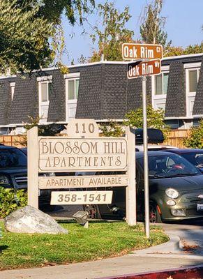 Blossom Hill Terrace Apartments