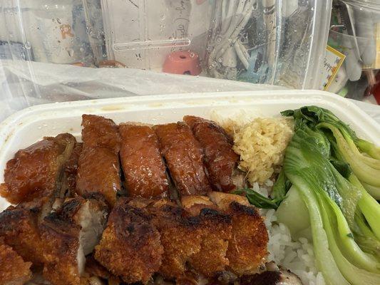 Roast Duck n Pork over rice