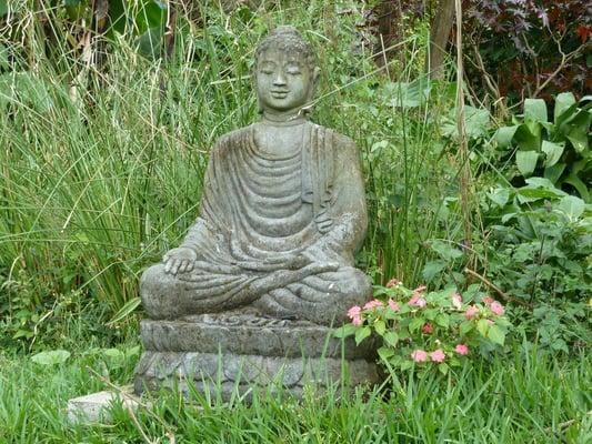 Health begins by aligning your body mind and soul.