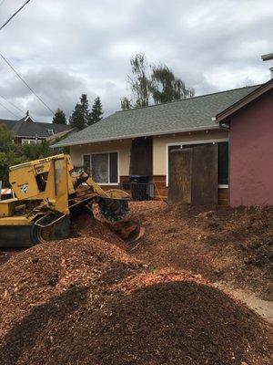 Easley Tree & Stump Service