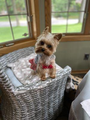 Bikini time was unending this summer. Don't you just love her cut. So original!