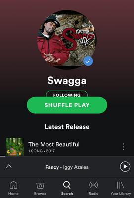 Swagga on Spotify