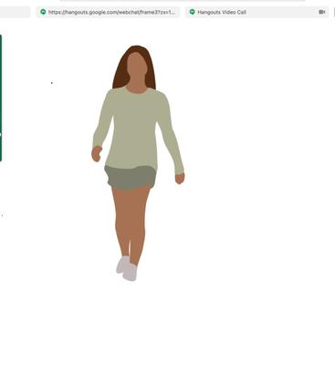 Holidays Pet Sitting and Walking