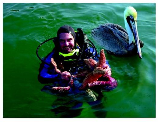 Captain Carl's Mobile Tidepool