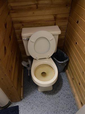 Rust stained toilet