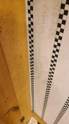 Smoky Retreat Cabin Rentals