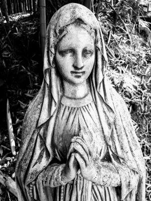 Atlanta Water Gardens