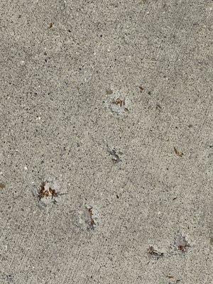 White Wolf Hardscape