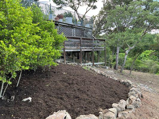 Salazar Tree Service