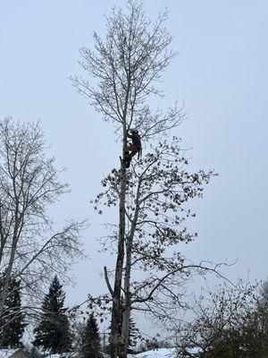 Big Horn Property Maintenance LLC