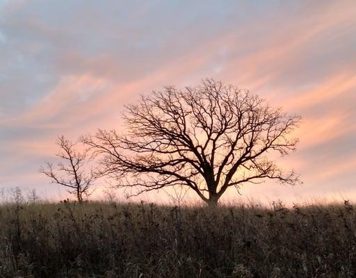 Cloud 898 Massage Therapy