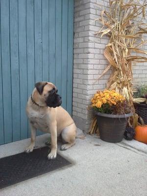 Turn Around Training