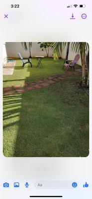 Eternal Landscaping And Yard Maintenance