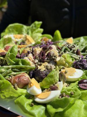 Harvard Cookin' Girl