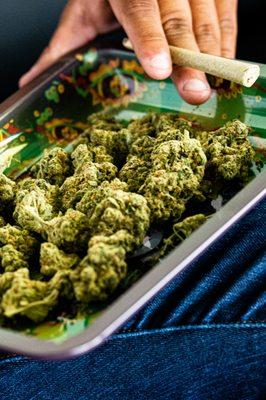 Northern Light Cannabis