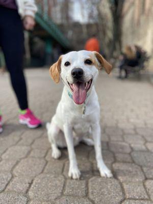 Martina Walks the Walk