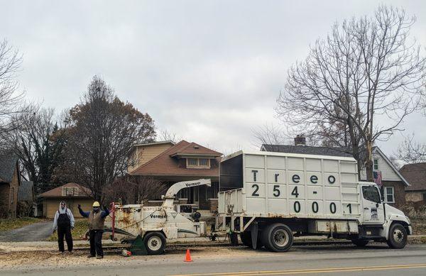 Treeo Tree Service - Indianapolis