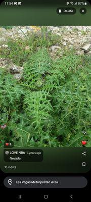 Rancho Viejo Condominiums