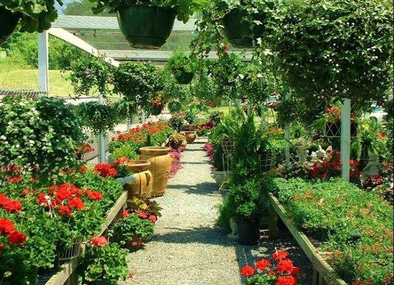 Simply Brigitte Home And Garden Design