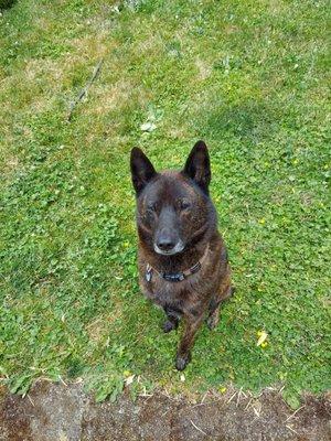 Gabriel Park Veterinary Clinic