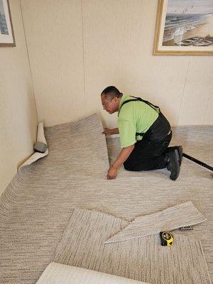 Dolphin Carpet & Tile