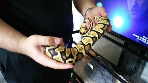 Barnyard Bow Wow Meow