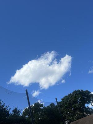 Forest Hill Field Club