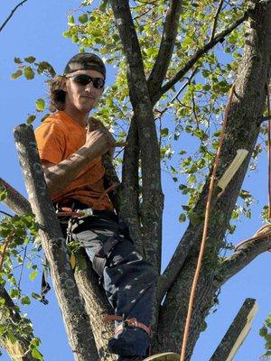 Leonards Tree and Trash Removal