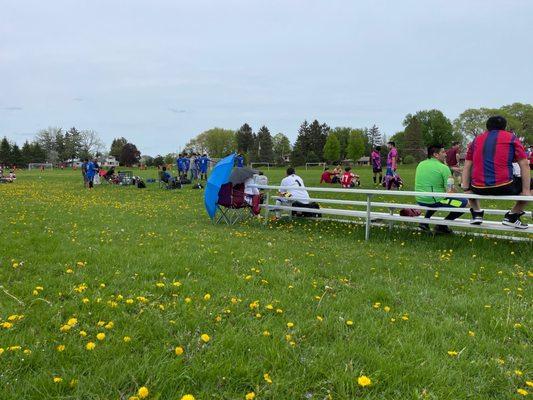 Brookfield Soccer Park