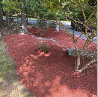 Lucchetti’s Landscaping