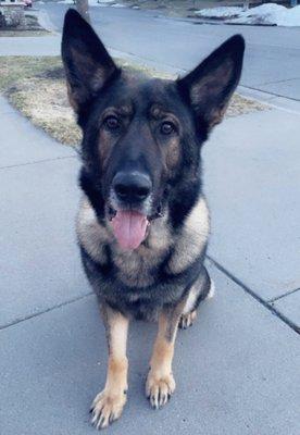 Furry Tails Grooming Salon