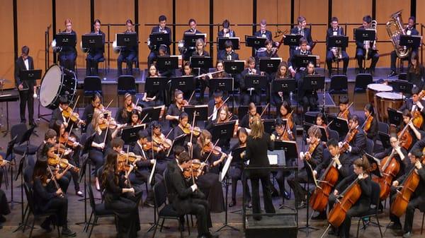 The Capitol Symphonic Youth Orchestras