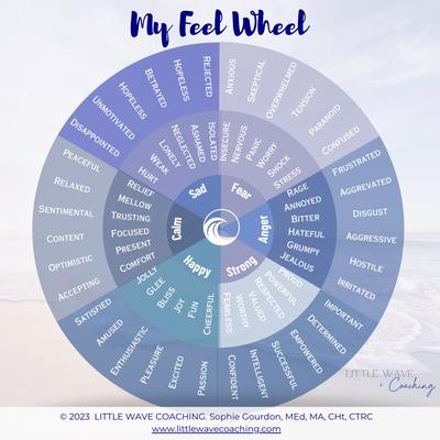 Little Wave Coaching