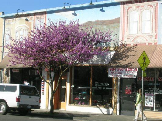 Chris Foley Fine Leather & Accessories