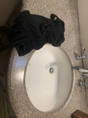 Someone left their shirt in the bathroom and some small cockroaches in the sink