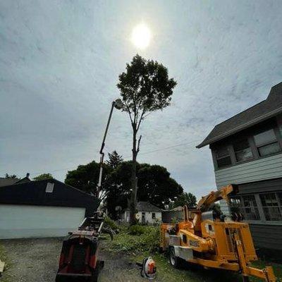 Timberlake's Tree Service