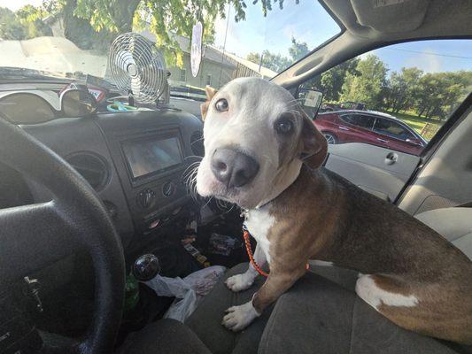 Taco Taco coming home