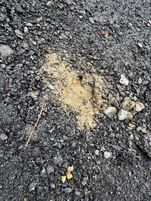 Erskine Construction and Seal Coat