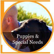 Blue Chip Pet Care