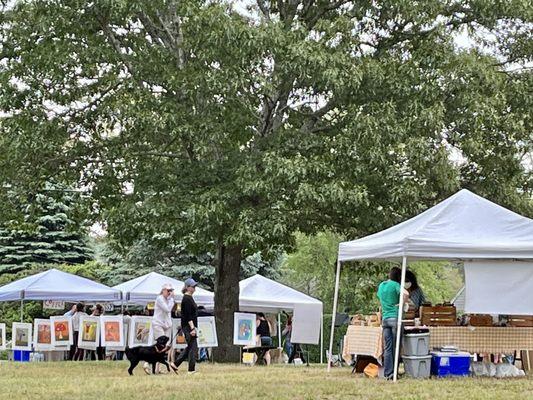 Checking out the Truro Farmer's Market!