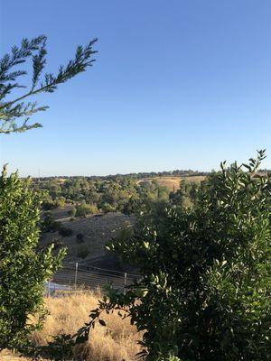 Morgan's of California Dried Fruits & N Nuts