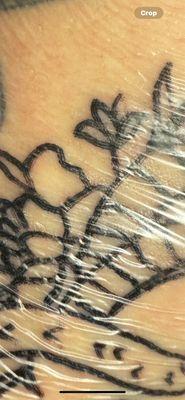 Missing and incomplete lines on design