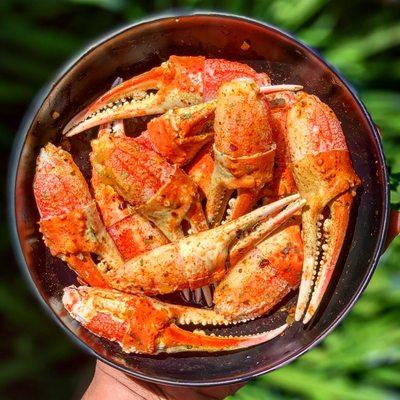 Logan Oyster Socials