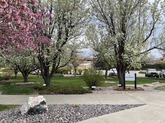 View of the walking path in front of my office.