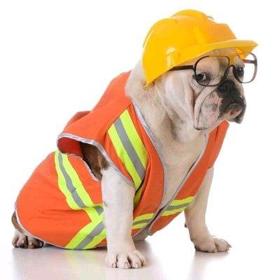 Never DOG on your Safety Procedures.